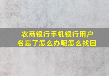 农商银行手机银行用户名忘了怎么办呢怎么找回