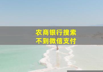 农商银行搜索不到微信支付