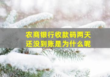 农商银行收款码两天还没到账是为什么呢