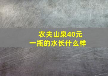 农夫山泉40元一瓶的水长什么样