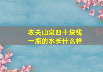 农夫山泉四十块钱一瓶的水长什么样