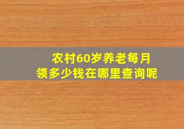 农村60岁养老每月领多少钱在哪里查询呢