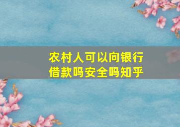 农村人可以向银行借款吗安全吗知乎