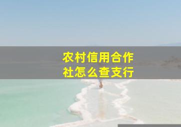 农村信用合作社怎么查支行