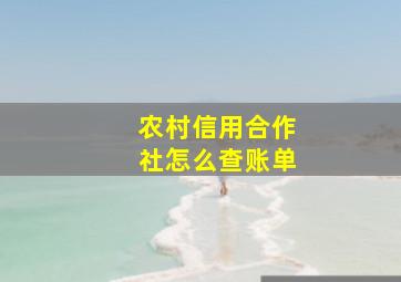 农村信用合作社怎么查账单