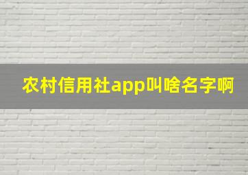 农村信用社app叫啥名字啊