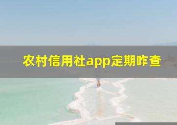 农村信用社app定期咋查