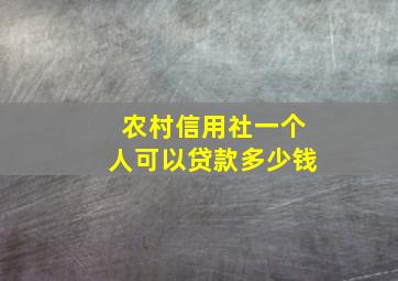 农村信用社一个人可以贷款多少钱