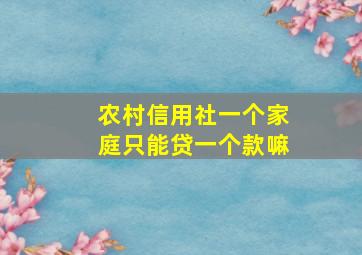 农村信用社一个家庭只能贷一个款嘛