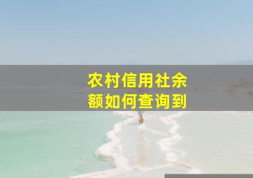 农村信用社余额如何查询到