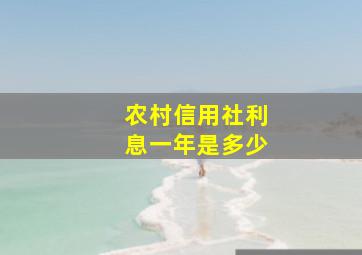 农村信用社利息一年是多少