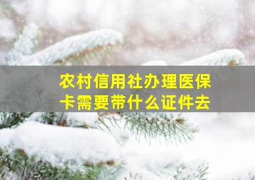 农村信用社办理医保卡需要带什么证件去