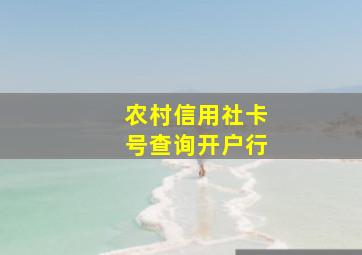 农村信用社卡号查询开户行