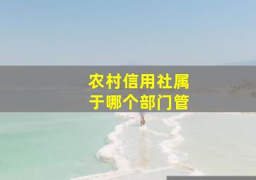 农村信用社属于哪个部门管