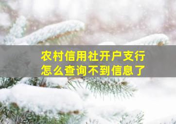 农村信用社开户支行怎么查询不到信息了