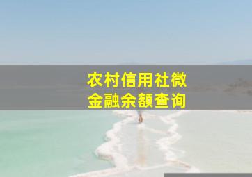 农村信用社微金融余额查询