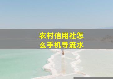 农村信用社怎么手机导流水