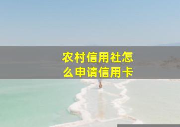 农村信用社怎么申请信用卡