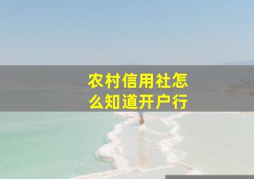 农村信用社怎么知道开户行