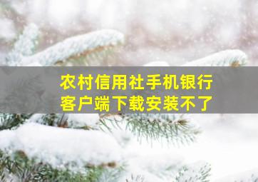 农村信用社手机银行客户端下载安装不了