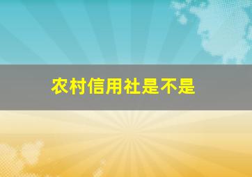 农村信用社是不是