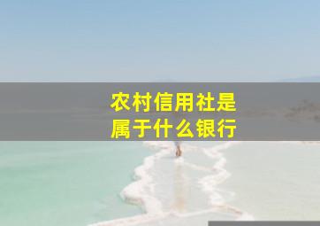 农村信用社是属于什么银行