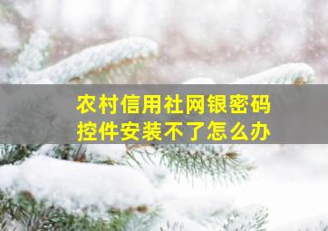 农村信用社网银密码控件安装不了怎么办