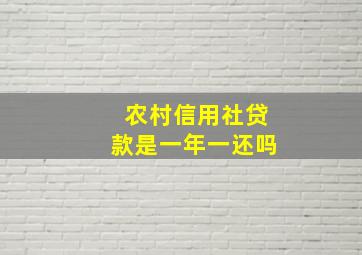 农村信用社贷款是一年一还吗