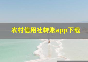 农村信用社转账app下载