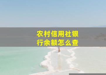 农村信用社银行余额怎么查