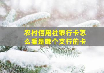 农村信用社银行卡怎么看是哪个支行的卡