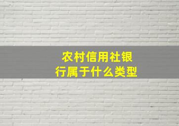 农村信用社银行属于什么类型