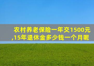 农村养老保险一年交1500元,15年退休金多少钱一个月呢