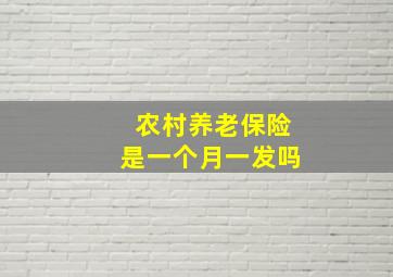 农村养老保险是一个月一发吗