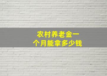 农村养老金一个月能拿多少钱