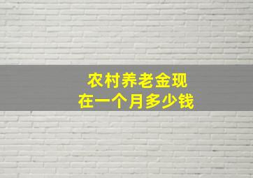 农村养老金现在一个月多少钱