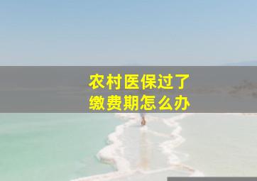 农村医保过了缴费期怎么办