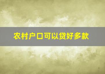 农村户口可以贷好多款