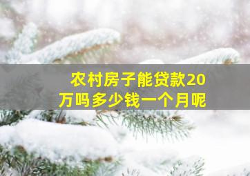 农村房子能贷款20万吗多少钱一个月呢