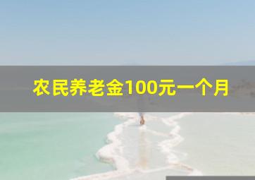 农民养老金100元一个月