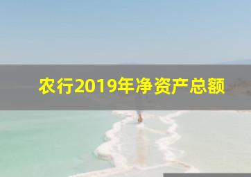 农行2019年净资产总额