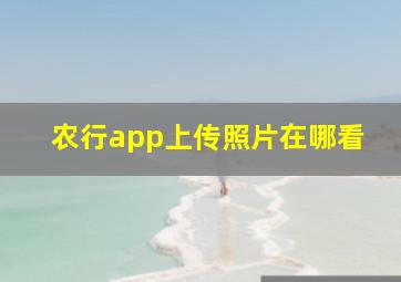 农行app上传照片在哪看