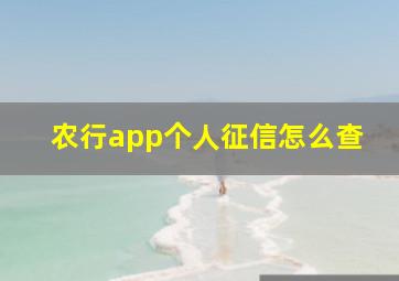 农行app个人征信怎么查