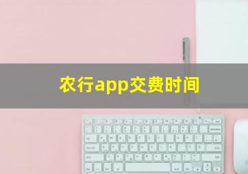 农行app交费时间