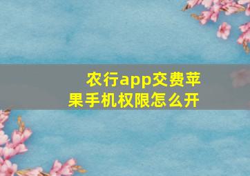 农行app交费苹果手机权限怎么开