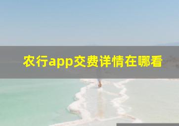 农行app交费详情在哪看