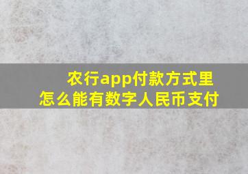 农行app付款方式里怎么能有数字人民币支付