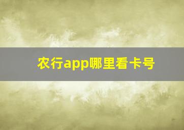 农行app哪里看卡号