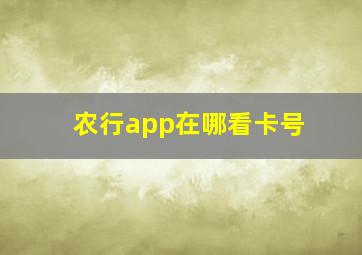 农行app在哪看卡号