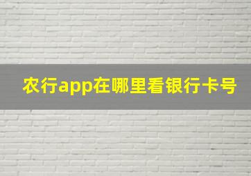 农行app在哪里看银行卡号